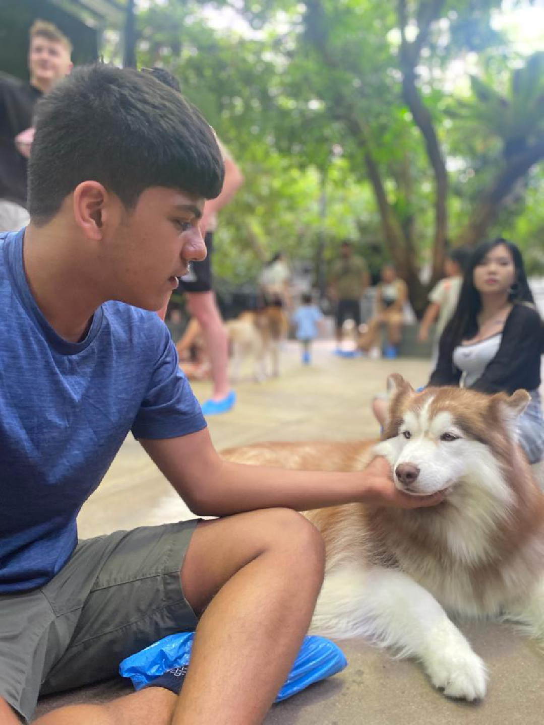 Aarav with dog - Vet Bookr